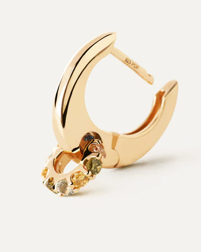 PDPAOLA RAINBOW SPIN HOOP EARRING AR01B89U