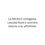 KIDULT BY YOU CHARM INFINITO FELICITA' 741183